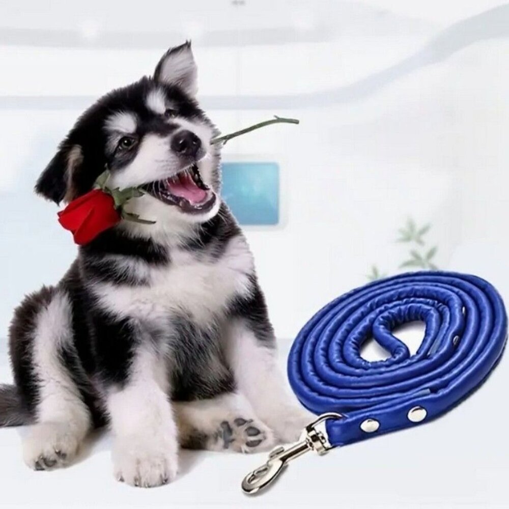 Xander Rey Dark Blue Leather Dog Leash Gift Packaged